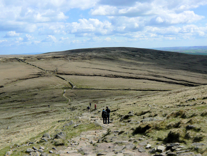 Brown Knoll Brown Knoll